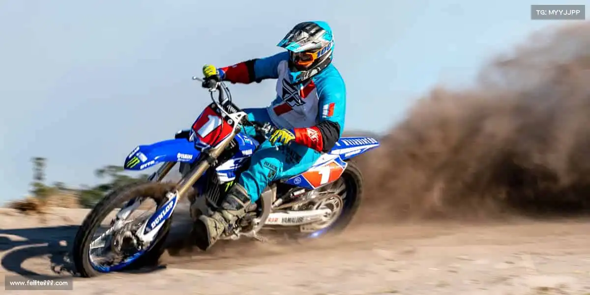 我们的品牌价值